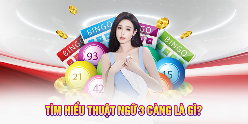 Tìm hiểu thuật ngữ 3 càng là gì?