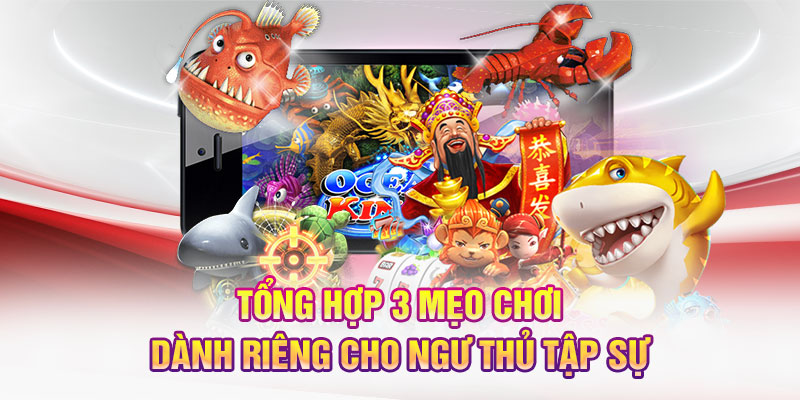 Tổng hợp 3 mẹo chơi dành riêng cho ngư thủ tập sự