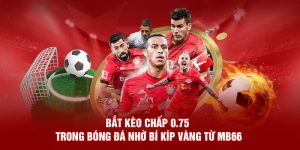 Bắt Kèo Chấp 0.75 Trong Bóng Đá Nhờ Bí Kíp Vàng Từ MB66