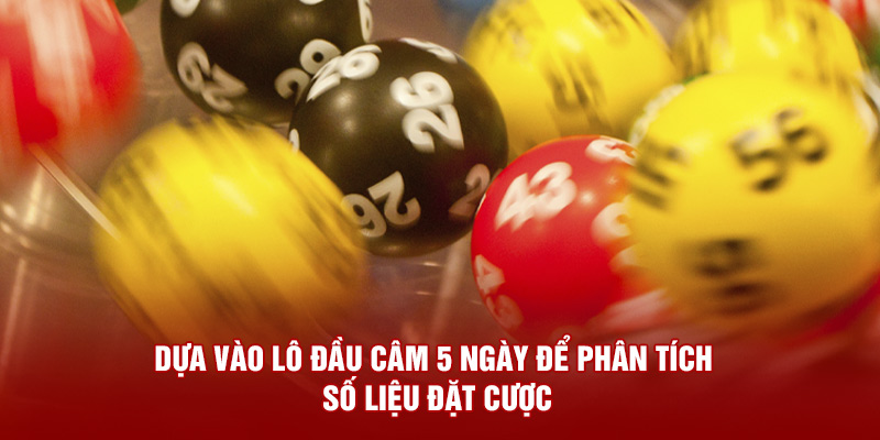 Dựa vào lô đầu câm 5 ngày để phân tích số liệu đặt cược