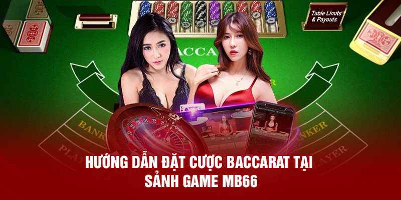 Hướng dẫn đặt cược baccarat tại sảnh game MB66