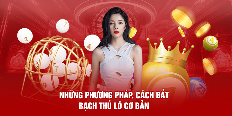 Những phương pháp, cách bắt bạch thủ lô cơ bản 