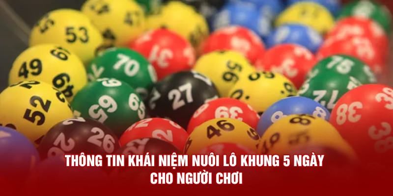 Thông tin khái niệm nuôi lô khung 5 ngày cho người chơi